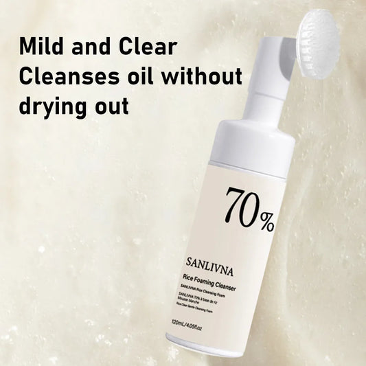 SANLIVNA Reis-Schaumreiniger