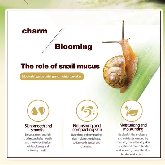 Snail Collagen Face & Eye Care Set
