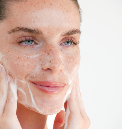 SANLIVNA Reis-Schaumreiniger